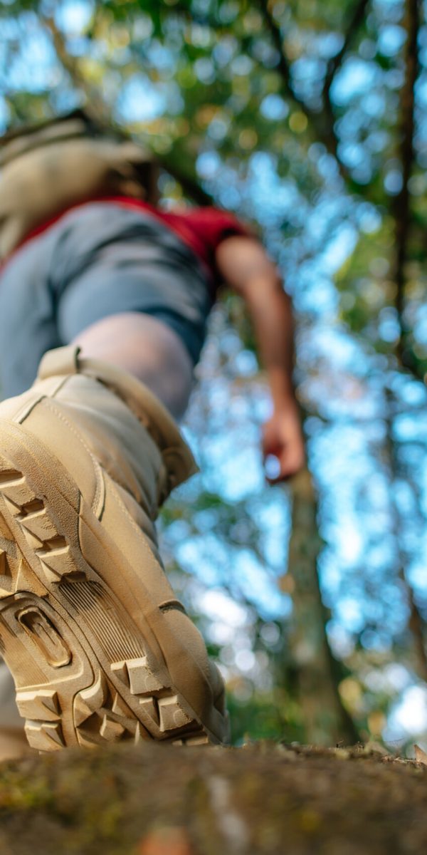 Close up, rear view trekking shoes of Hiker walking on the rockห in the forest Trail with sunlight, copy space